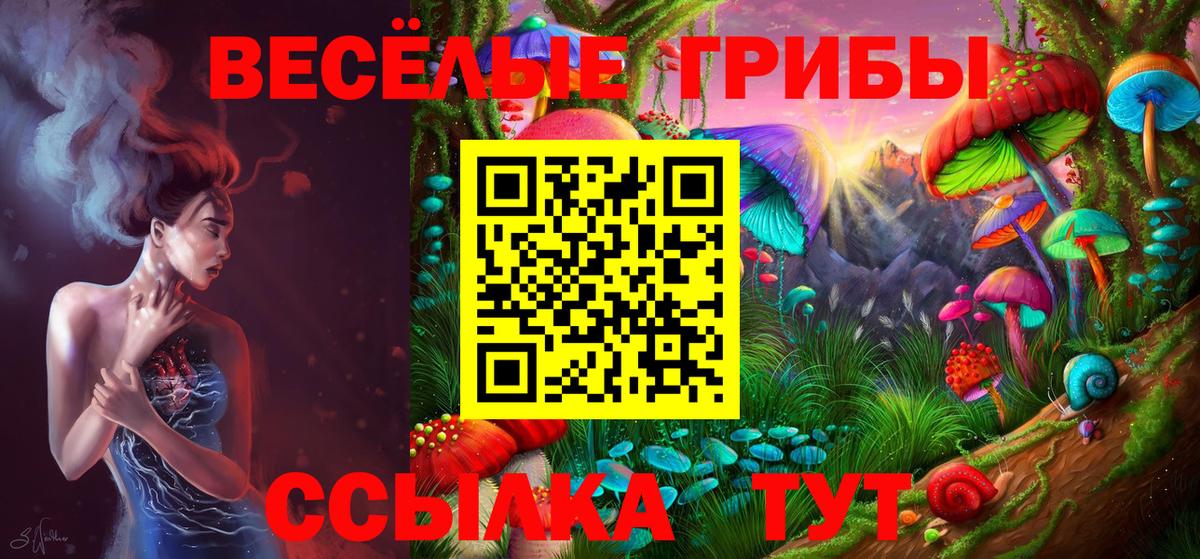 Славянск-на-Кубани  что такое   Вход с VPN  Псилоцибиновые грибы GOLDEN TEACHER 